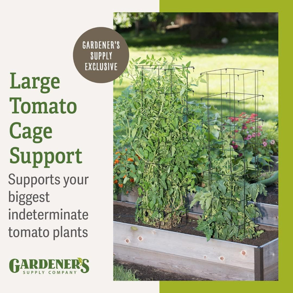 Gardener’s Supply Company Extra Tall Heavy-Guage Square Tomato Cages | Easy Fold Plant Supports & Vegetable Garden