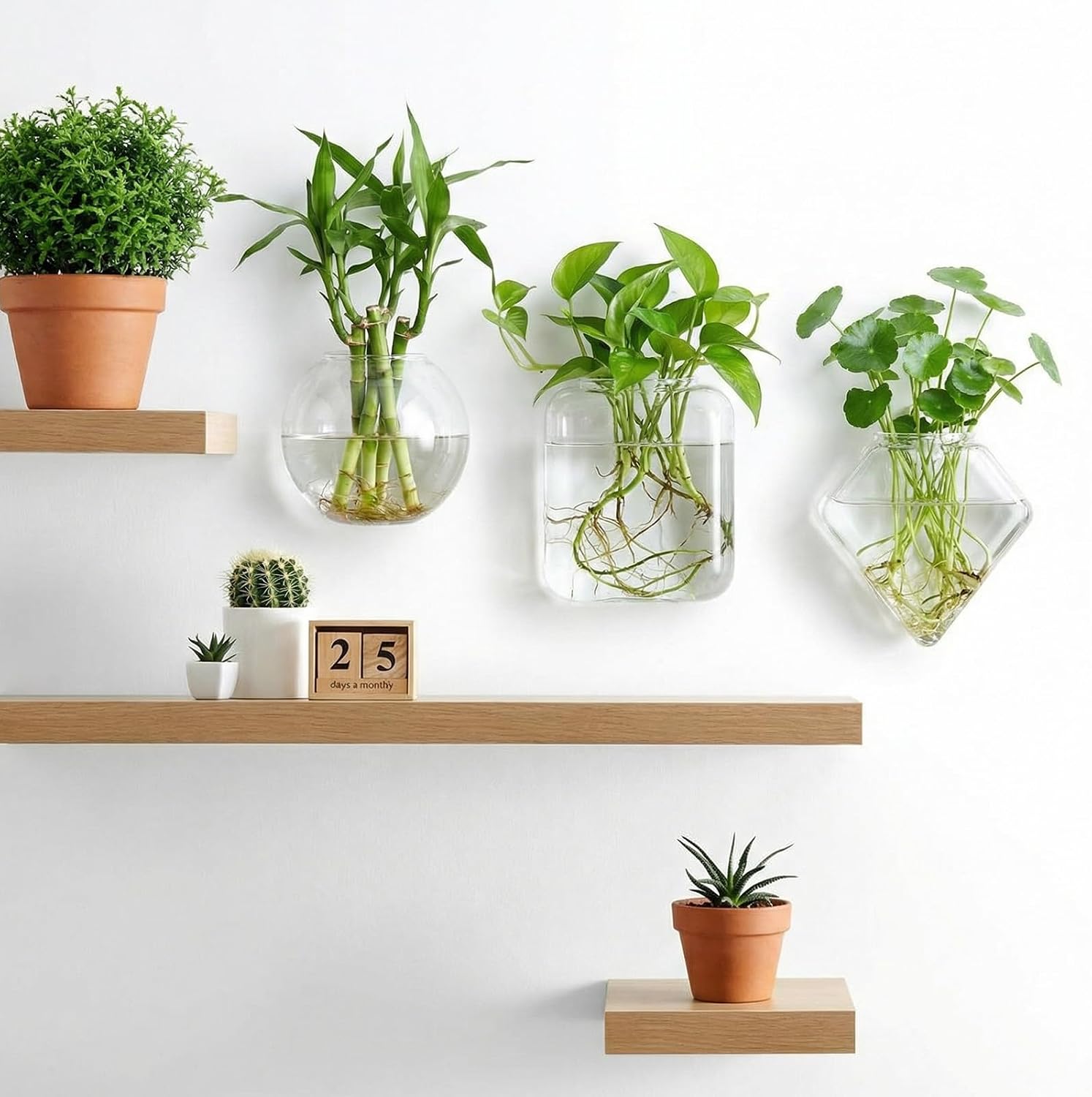 LemonRoad 6 Pcs Wall Hanging Glass Wall Hanging Planter Propagation Station Terrariums Clear Glass Vase Container for