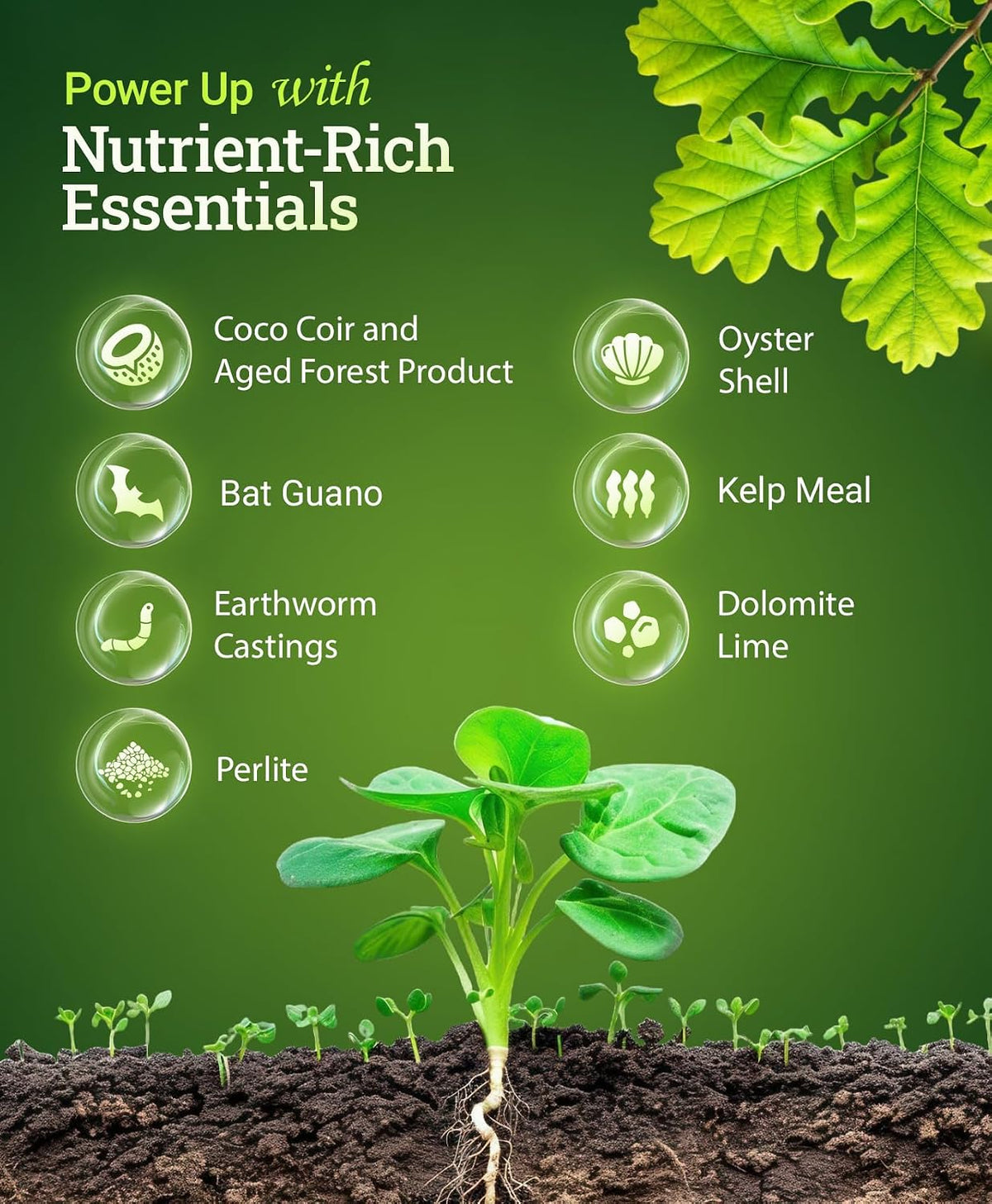FoxFarm BushDoctor Coco Loco Soil Potting Mix, Triple-Washed for Reduced Salt, Retains Water, Includes Bat Guano &