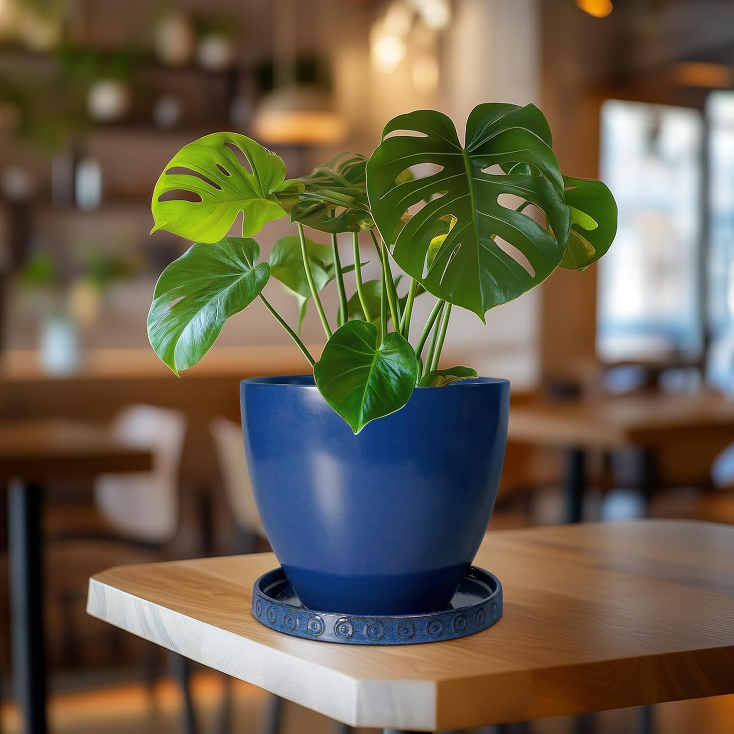Eightpot Plant Water Catcher Tray - Ceramic Plant Saucer for Outdoors 7.5 Inch Plant Pot Saucer Plant Drip Tray for