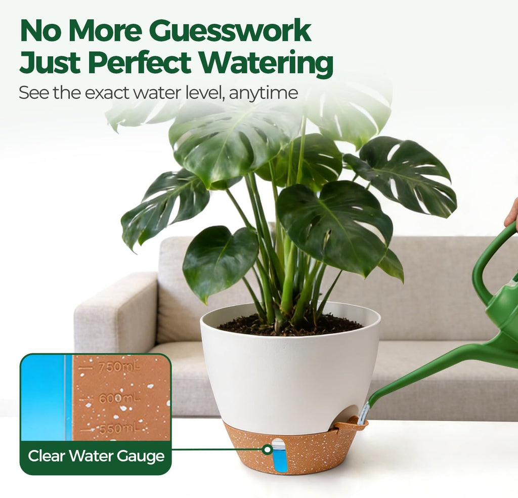 T4U Self Watering Pot for Indoor Plants, 12 Inch, Water Indicator, White | Visible water level window, Monstera and