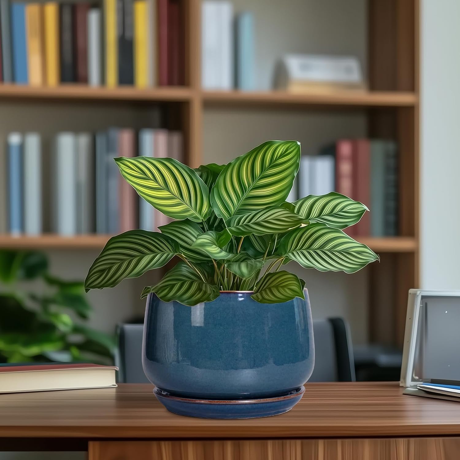 G EPGardening Ceramic Pot for Plants - Modern 7 Inch Round Planter with Drainage and Tray Indoor Outdoor for Flower