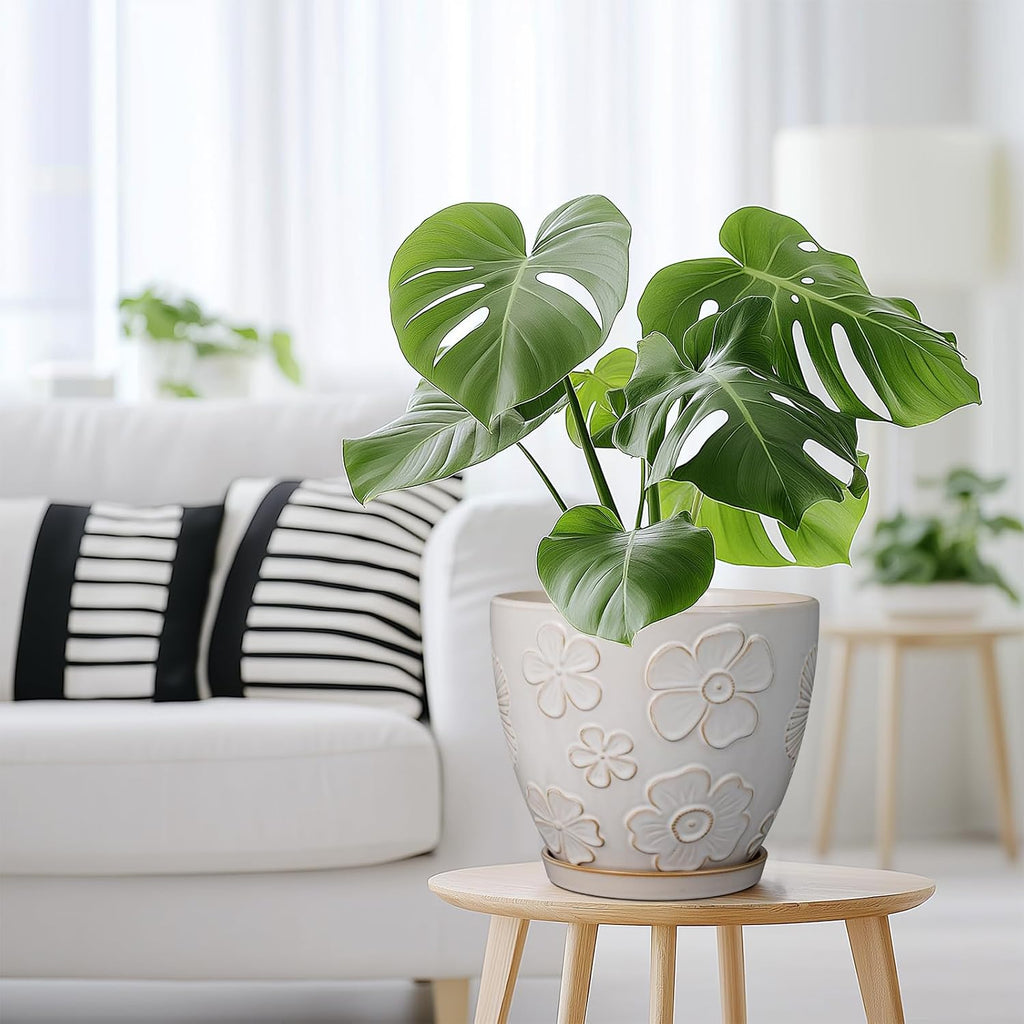 Ceramic Planter 8 Inch Plant Pot with Drainage Hole and Saucer Ceramic Pots for Indoor Plants Outdoor Large Flower Pot