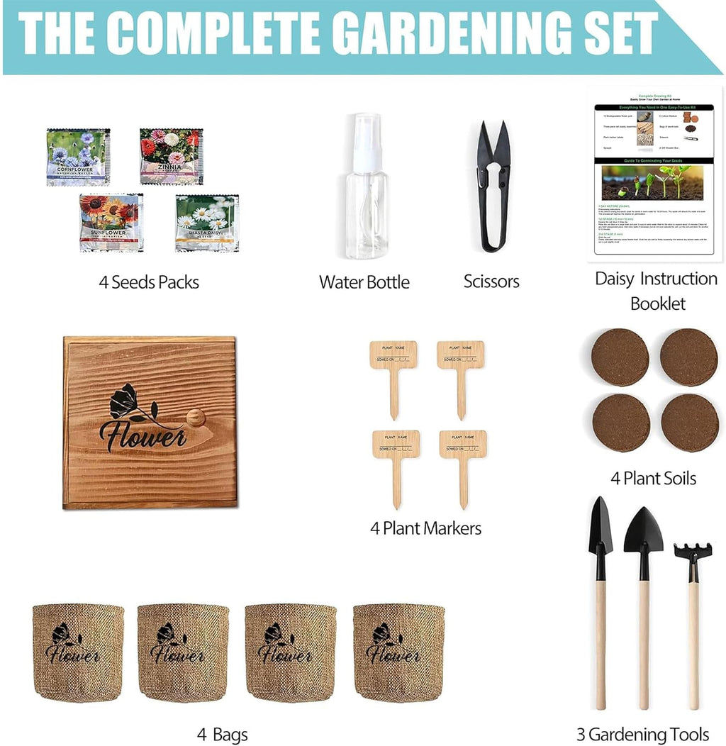 Indoor Daisy Garden Starter Kit, 4 Flower Seeds Growing into Shasta Daisy, Cornflower, Sunflower, Zinnia, Including