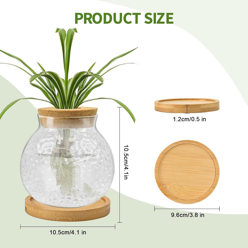 Plant Propagation Station, Water Planting for Plants with Tray & Wooden Saucer, Hydroponics Plants Jars Home Office
