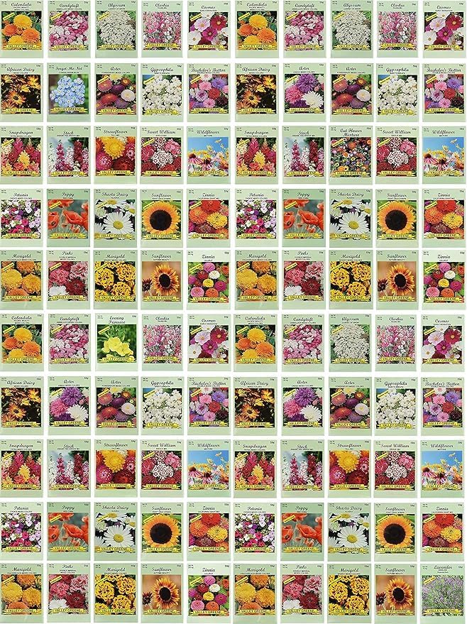 Black Duck Set of 500 Flower Seed Packets! Flower Seeds in Bulk - Best Value Seeds - Great for Classrooms, Beginner