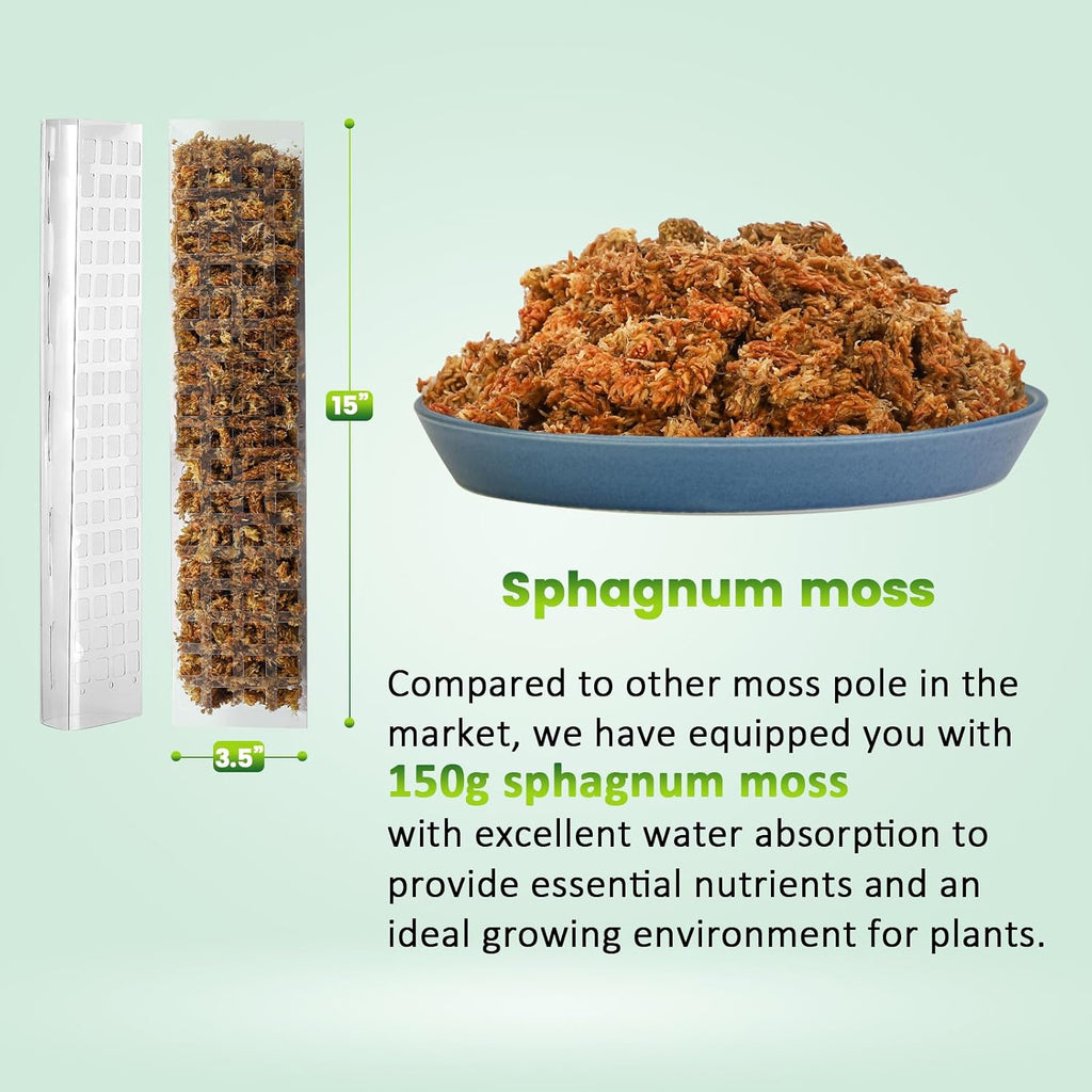 EOX Plastic Moss Pole Kit for Monstera, 15-Inch, 4-Pack, 5.3oz Moss | Clear D-Shaped Design, Fold-to-Assemble, Includes