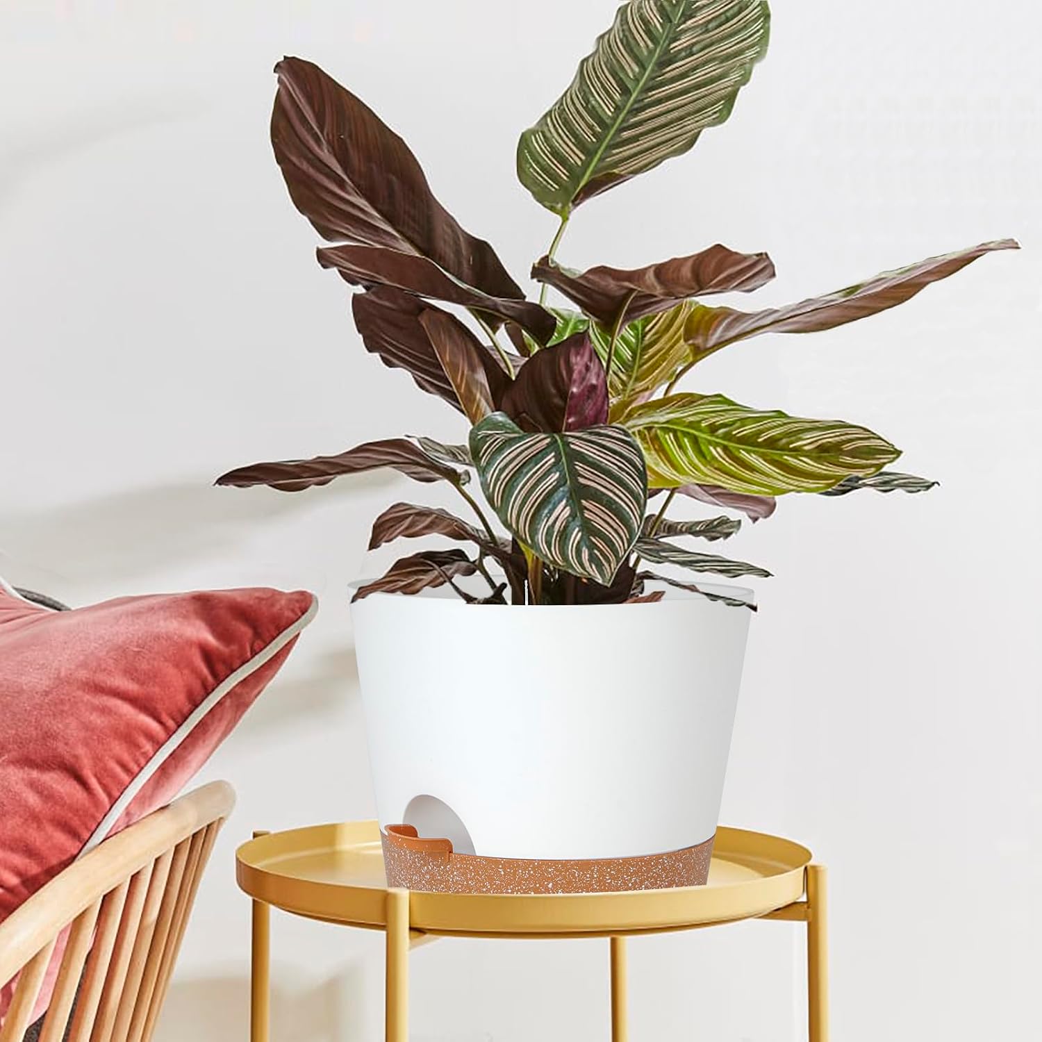SwinDuck 12inch Large Self Watering Plant Pot, Plastic Cylinder Planter with 60Oz Deep Reservoir and Saucer for Indoor