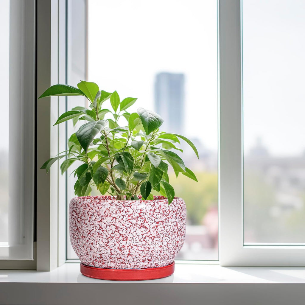 SQOWL Ceramic Planters for Indoor Plants - 10 Inch Flower Pots with Drainage Hole and Saucer, Decorative Ceramic Plant