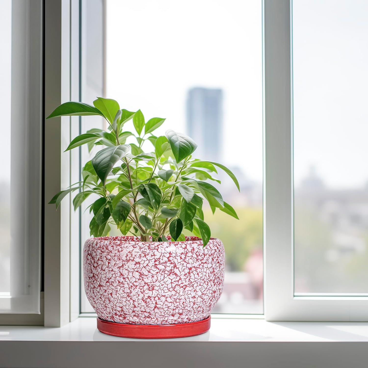 SQOWL Ceramic Planters for Indoor Plants - 10 Inch Flower Pots with Drainage Hole and Saucer, Decorative Ceramic Plant