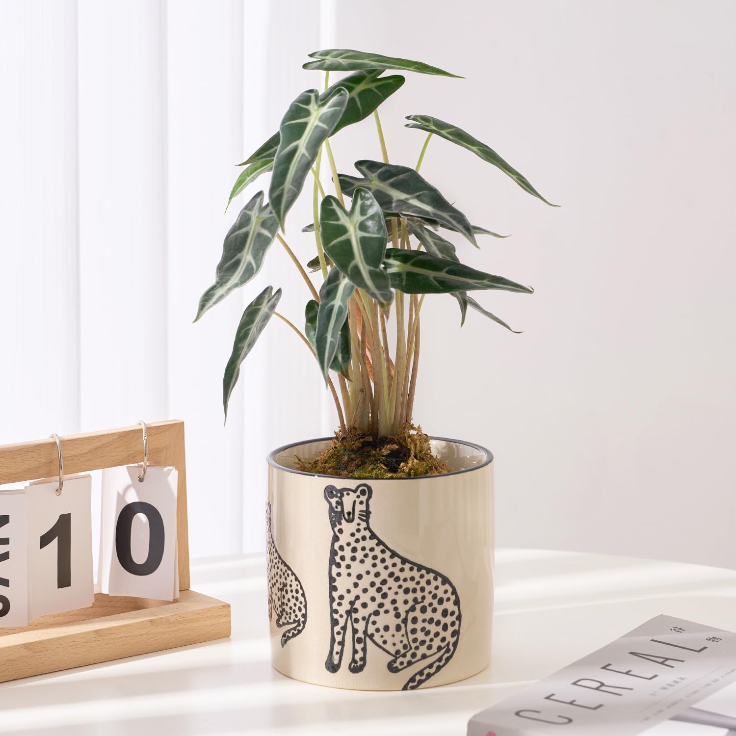 STHIE 5 Inch Ceramic Planters for Indoor Plants, Funny Small Plant Pots | Cute Planters with Drainage Holes, Unique