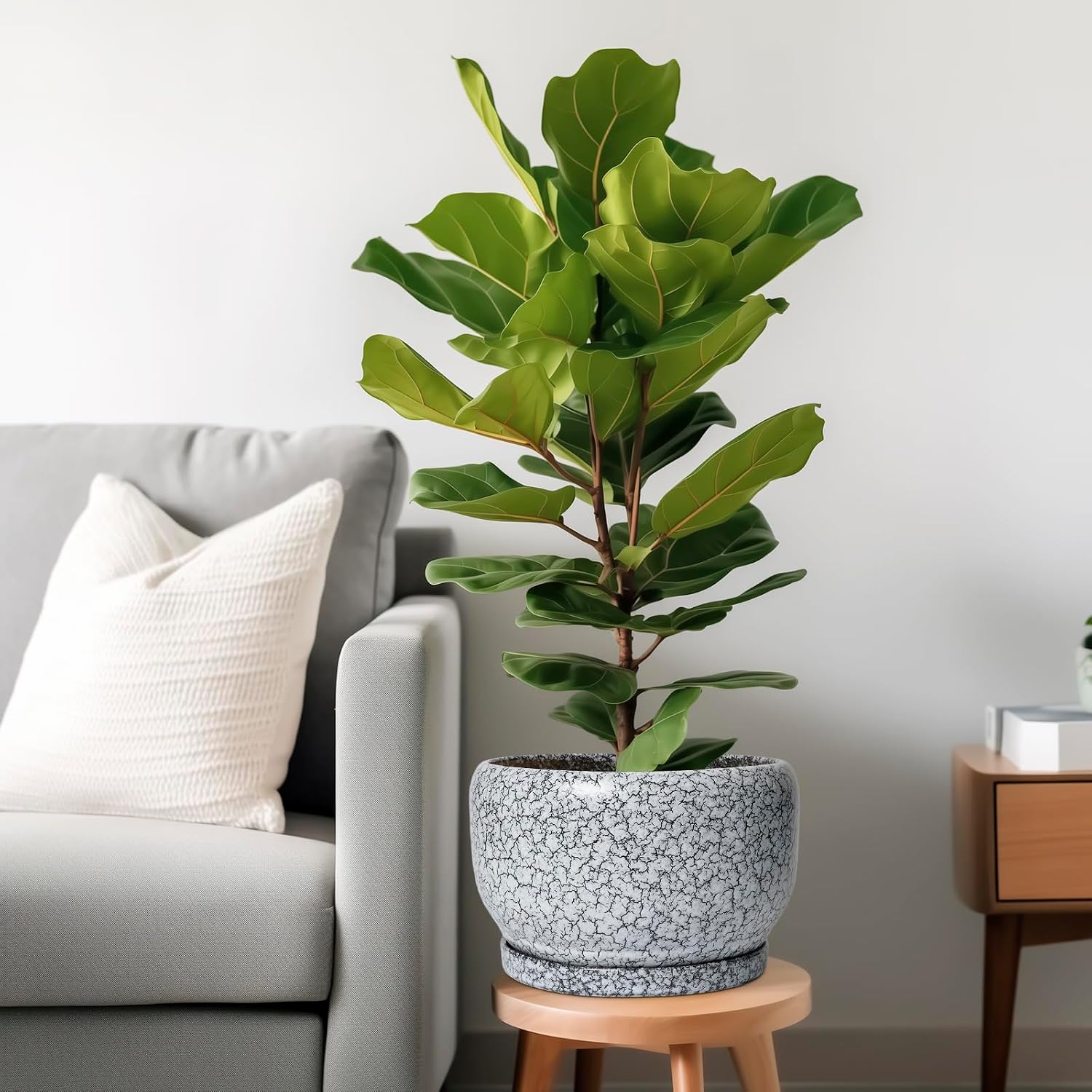 SQOWL Ceramic Planters - 10 Inch Ceramic Flower Pot with Drainage Hole and Saucer, Decorative Plant Pot Indoor, Round