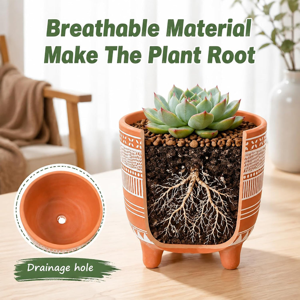 Frcctre 2 Pack Terracotta Pots, 6 Inch Succulent Clay Pottery Plant Pots Cactus Terra Cotta Flower Pot with Drainage