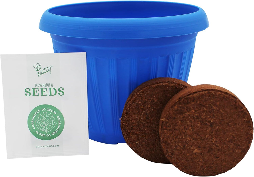 Buzzy Seeds Chaos Garden Grow Kit 3-Pack - Decorative Planter - Complete Indoor/Outdoor Gardening Kit with Seeds