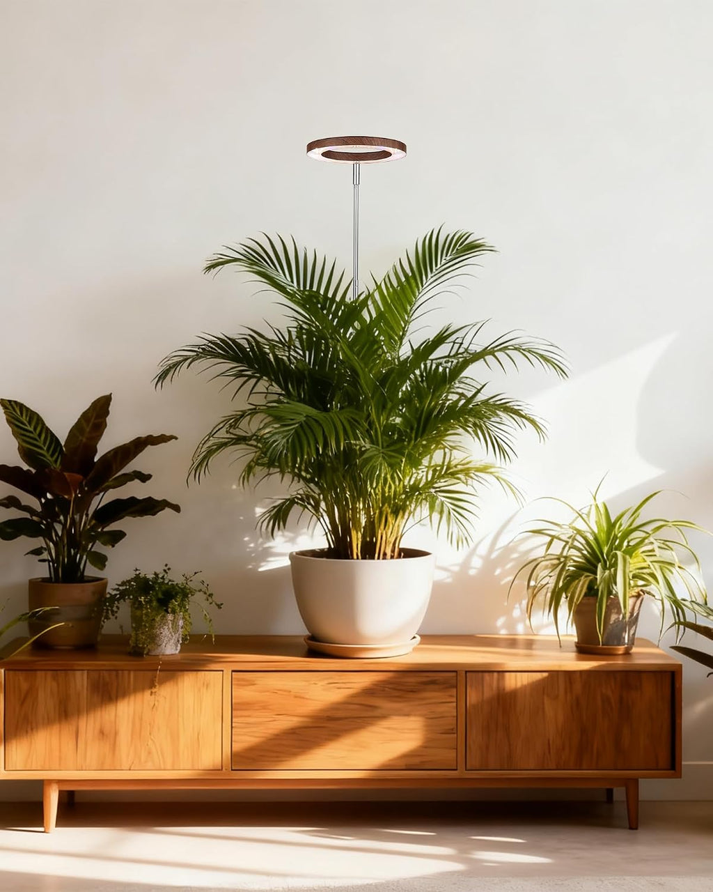 Grow Light for Large Indoor Plants, Full Spectrum LED Plant Light, Height Adjustable for Tall Plants, Auto On/Off