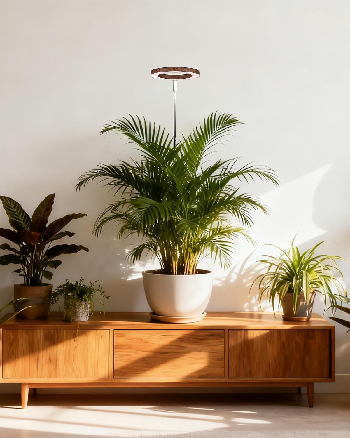 Grow Light for Large Indoor Plants, Full Spectrum LED Plant Light, Height Adjustable for Tall Plants, Auto On/Off