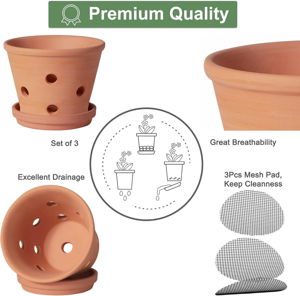 6 Inch Terracotta Orchid Pots with Holes, Saucers - 3 Pack Clay Orchid Planter Pots for Repotting, Small Terra Cotta