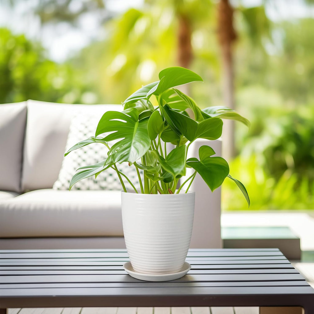 8 Inch Ceramic Planter Pot Round Plant Pot with Drainage Hole and Saucer Modern Flower Pot for Indoor Outdoor Plants