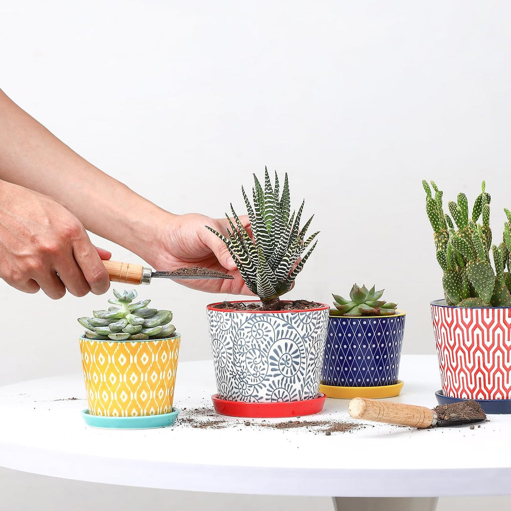Selamica Ceramic Succulent Pots, 4.3 Inch Small Plant Pots with Drainage Holes and Saucers, Small Flower Pots for