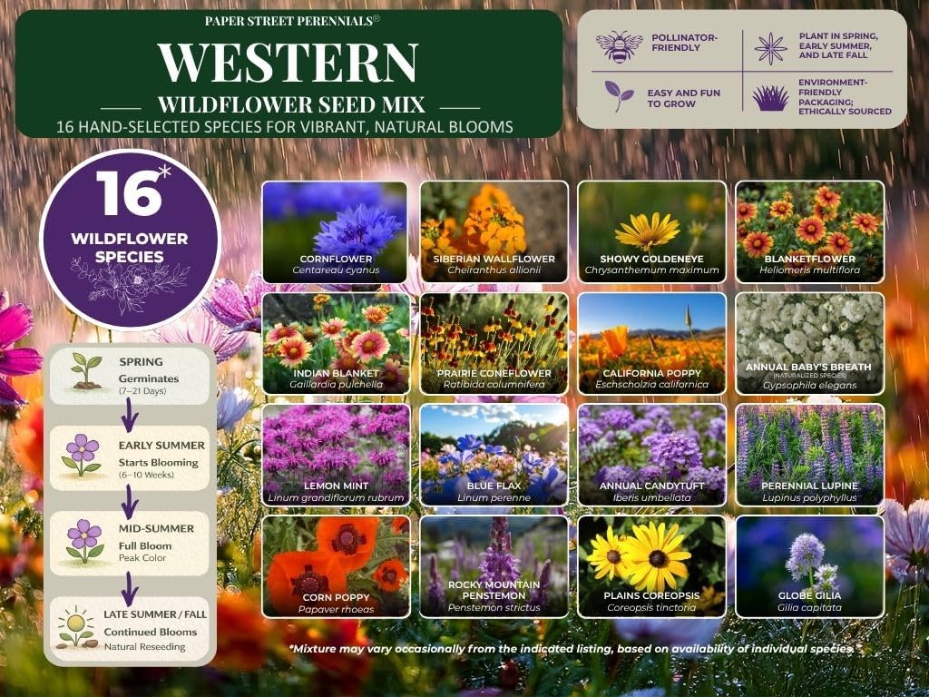 Utah Wildflower Seed Mix, 1/4 lb Covers 800 sq ft, Multi-Color Perennial and Annual Non-GMO Blooms to Attract