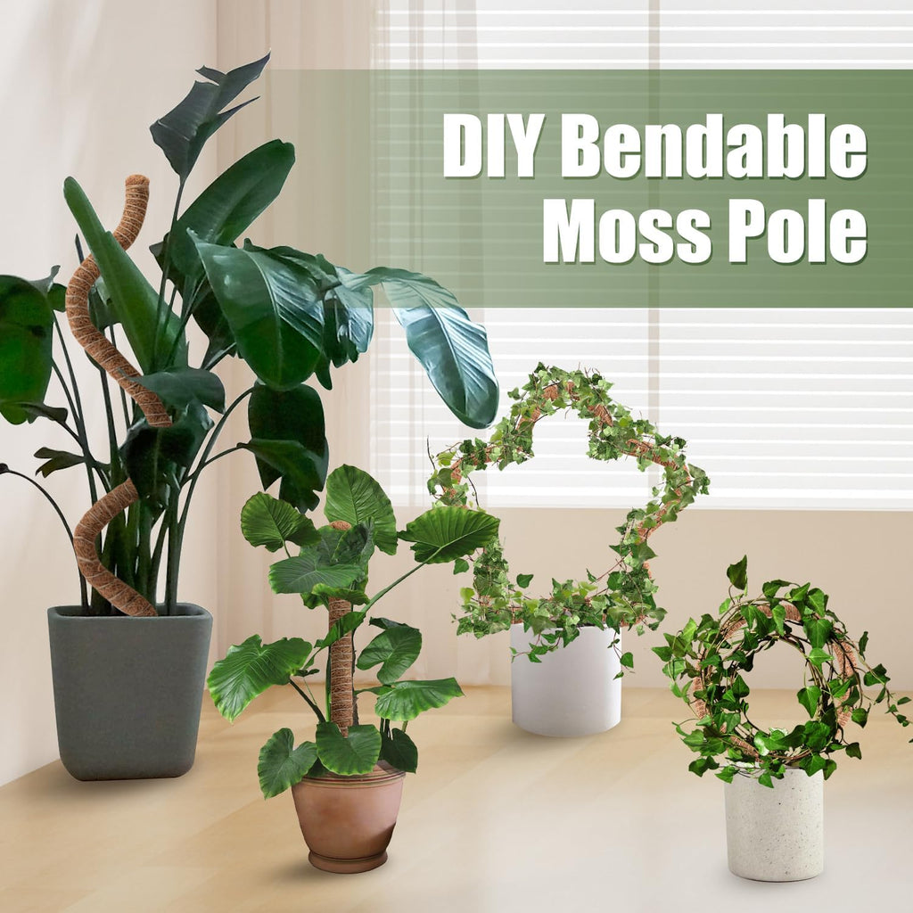 4 Pack Moss Pole 63 Inch Monstera Plant Sticks Support Tall Long Stakes | Climbing Indoor Large Bendable Handmade DIY