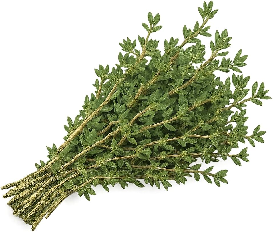 Herb Seedlings: Ready-to-Plant Seedlings, Starts, Plugs, Garden-Ready, Live Plants, Transplants, Pre-sprouted, for Soil