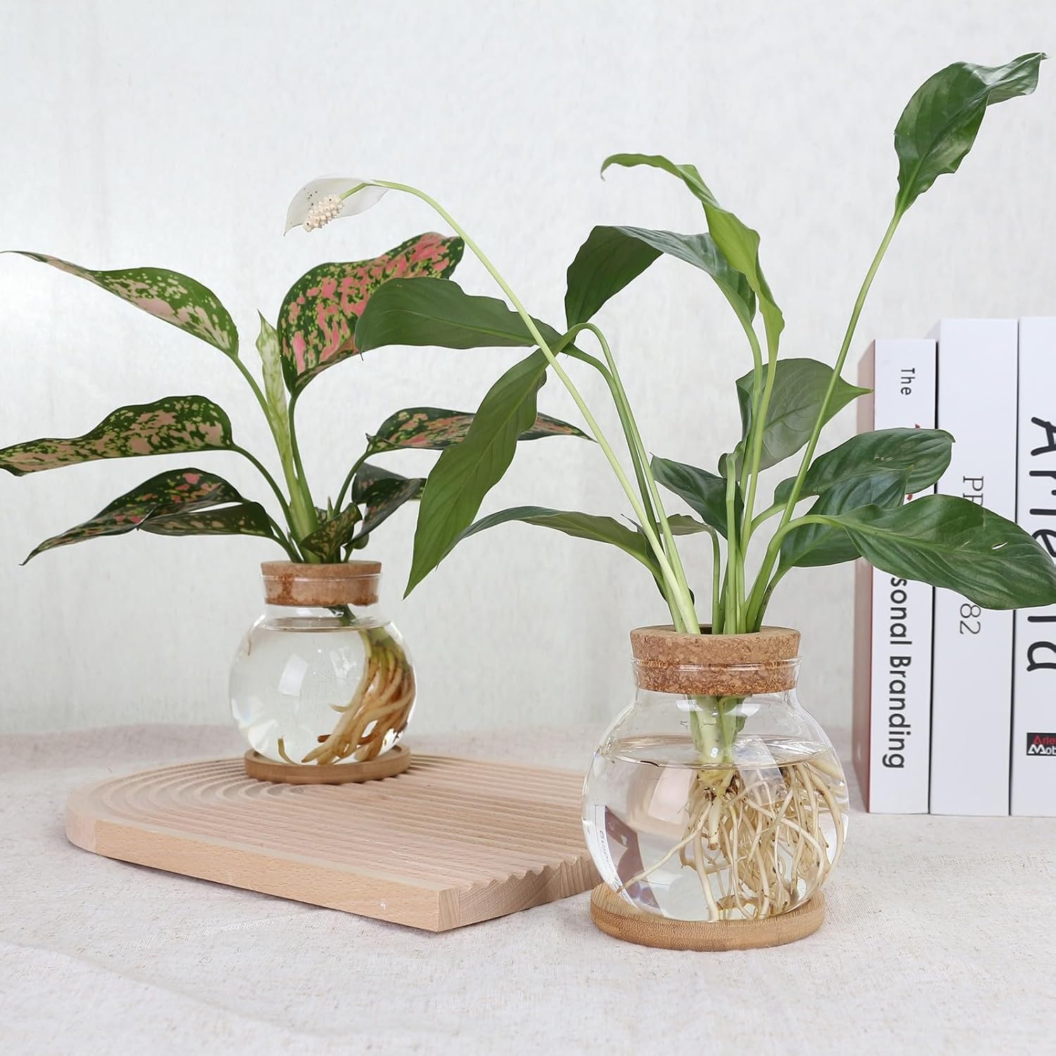 Plant Propagation Station,Hydroponic Glass Container Vase Jars, with Wooden Saucer for Desks, Houses, Garden
