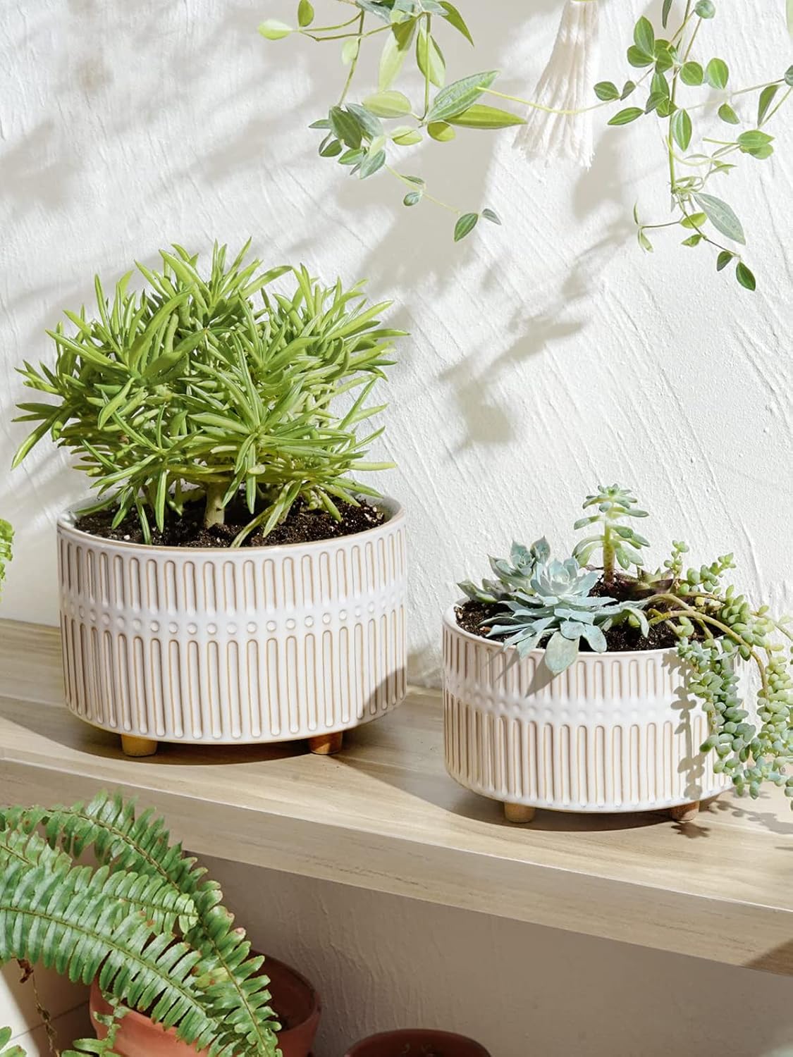 LE TAUCI Succulent Planters, 6.5+8 Inch Ceramic Indoor Plant Pot with Drainage Hole, Shallow Round Succulent Pots, Set