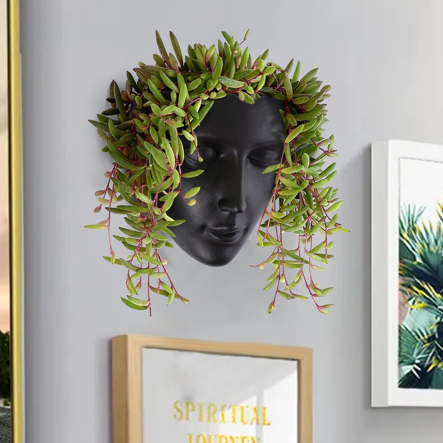 Notakia Face Planter Pot Wall Mounted Outdoor/Indoor Planter with Drainage for Succulents, Cactus, and Small Plants
