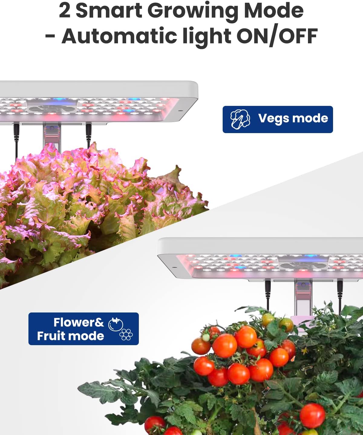 iDOO 12 Pods Hydroponics Growing System with 6.5L Water Tank, Hydro Indoor Herb Garden Up to 14.5", Plant Germination
