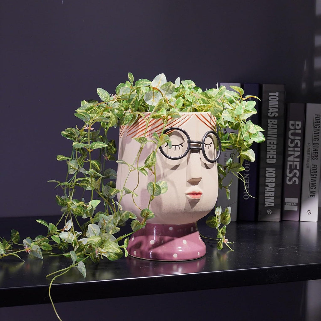 DiliComing Face Planter Indoor Plants Pot 8.3 Inch Succulent Pots | Indoor Face Vase, Lightweight Outdoor Flower
