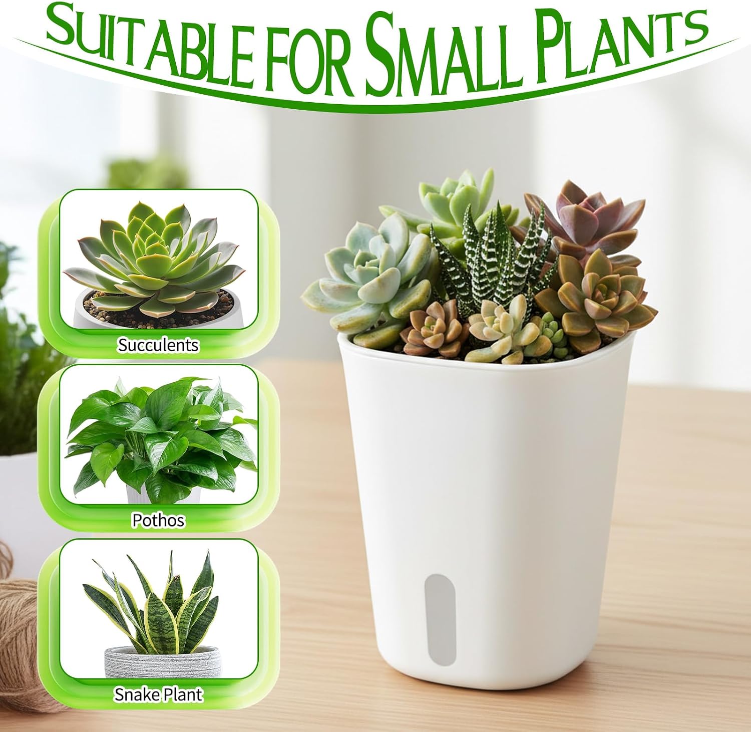 10 Sets 4" Self Watering Pots for Indoor Plants, Plastic Self Watering Planter Pots with Visual Water Level Clear Inner