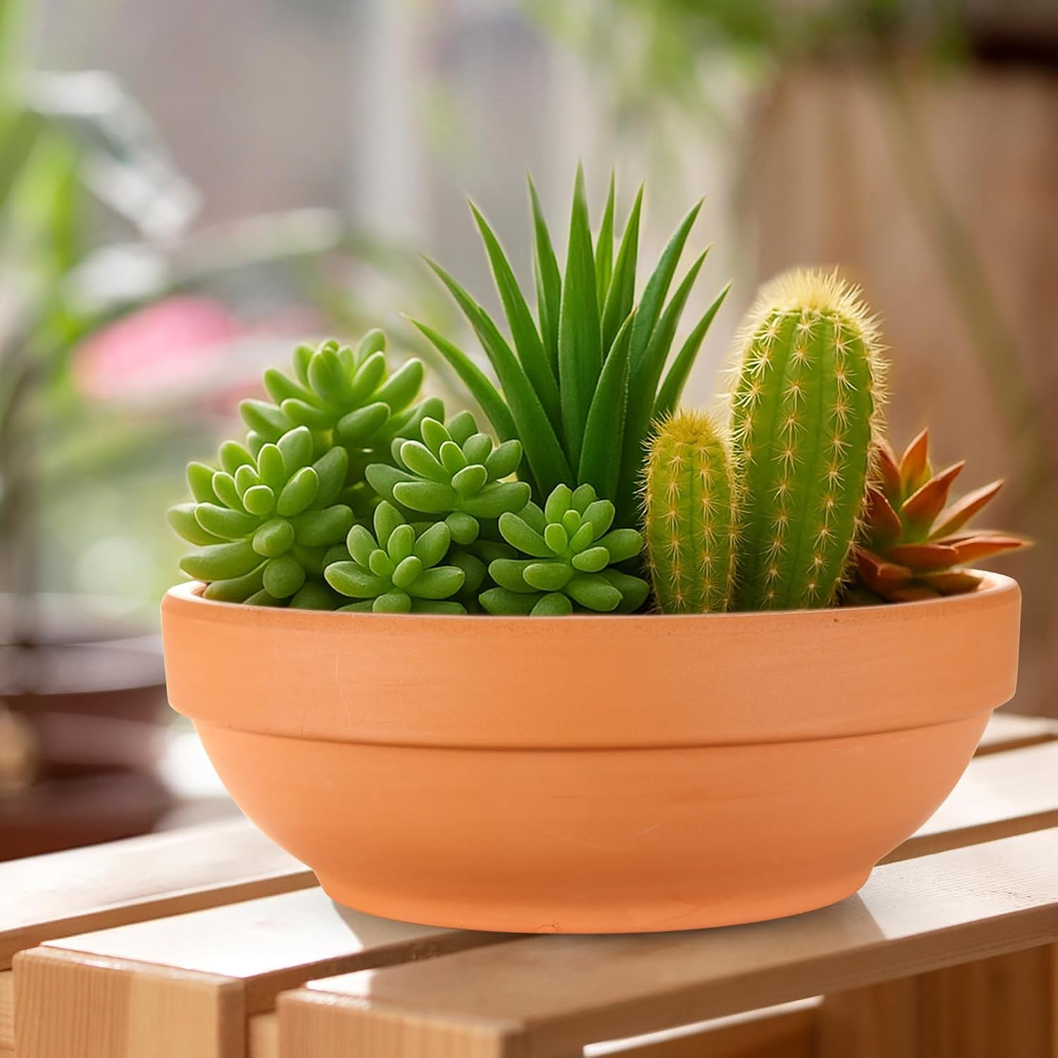 Laerjin Terracotta Pots with Drainage Holes, Large 2 Pack, 8.66 Inch | Ideal for gardeners growing cactus, succulents