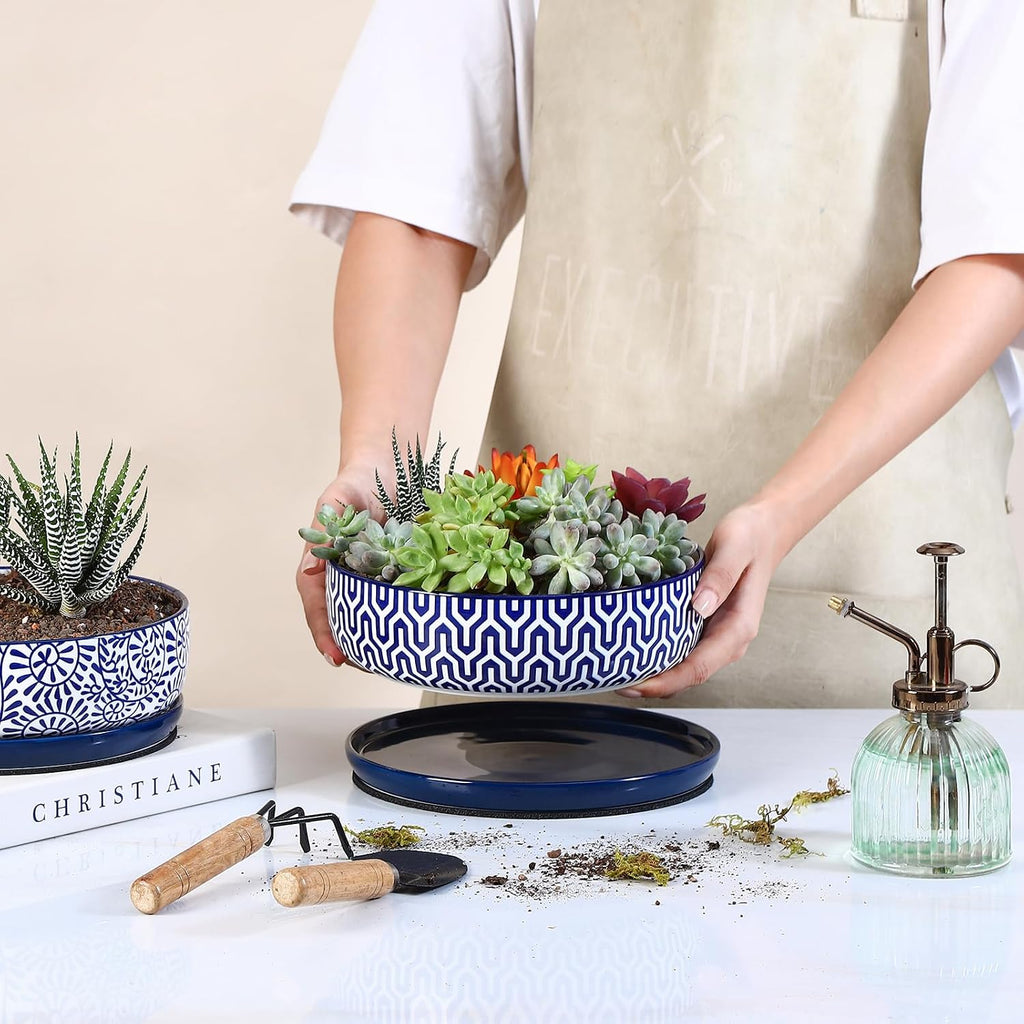 Selamica Ceramic Succulent Pots, Shallow Succulent Planters with Drainage Hole & Saucer, Indoor Plant Pots for Cactus