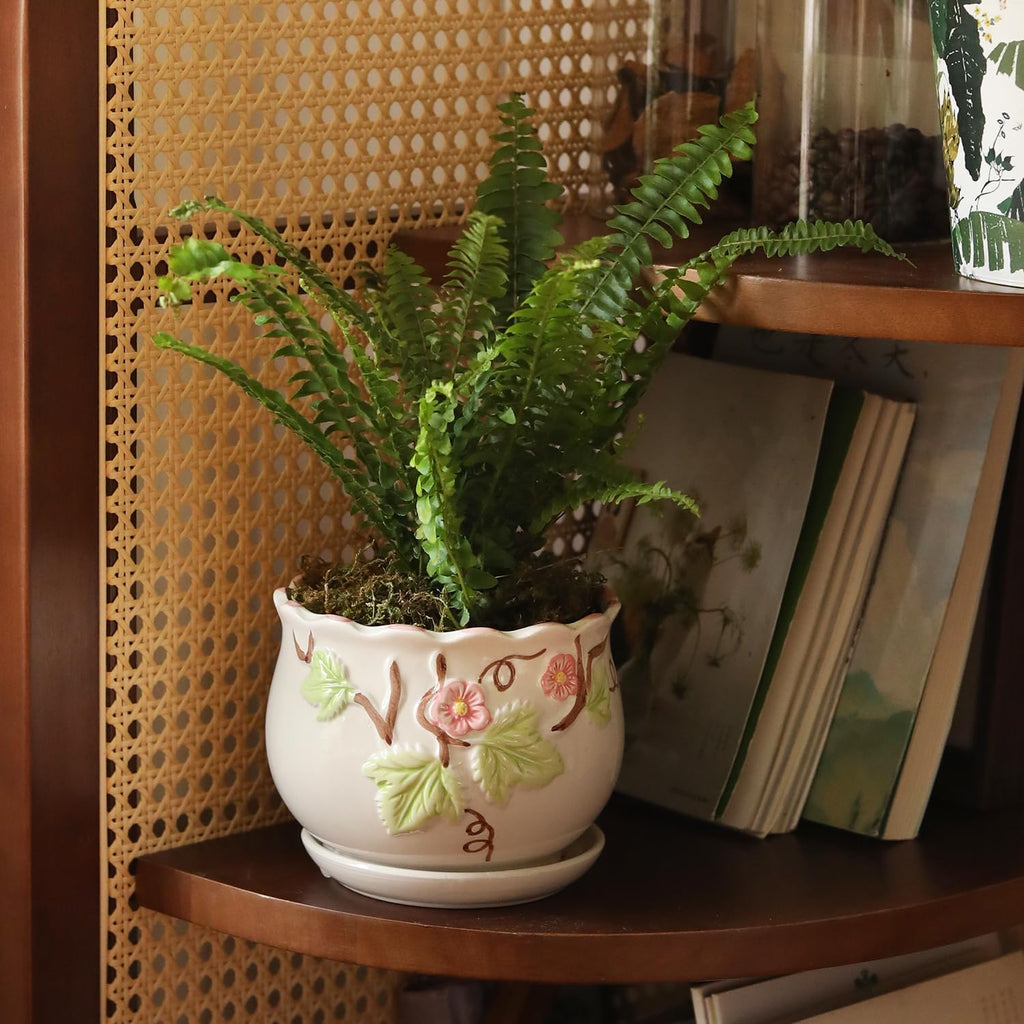 Ceramic Plant Pots with Drainage Holes and Saucers, Small Planters Set of 3 | Round Hand-painted Green Flower Pots for