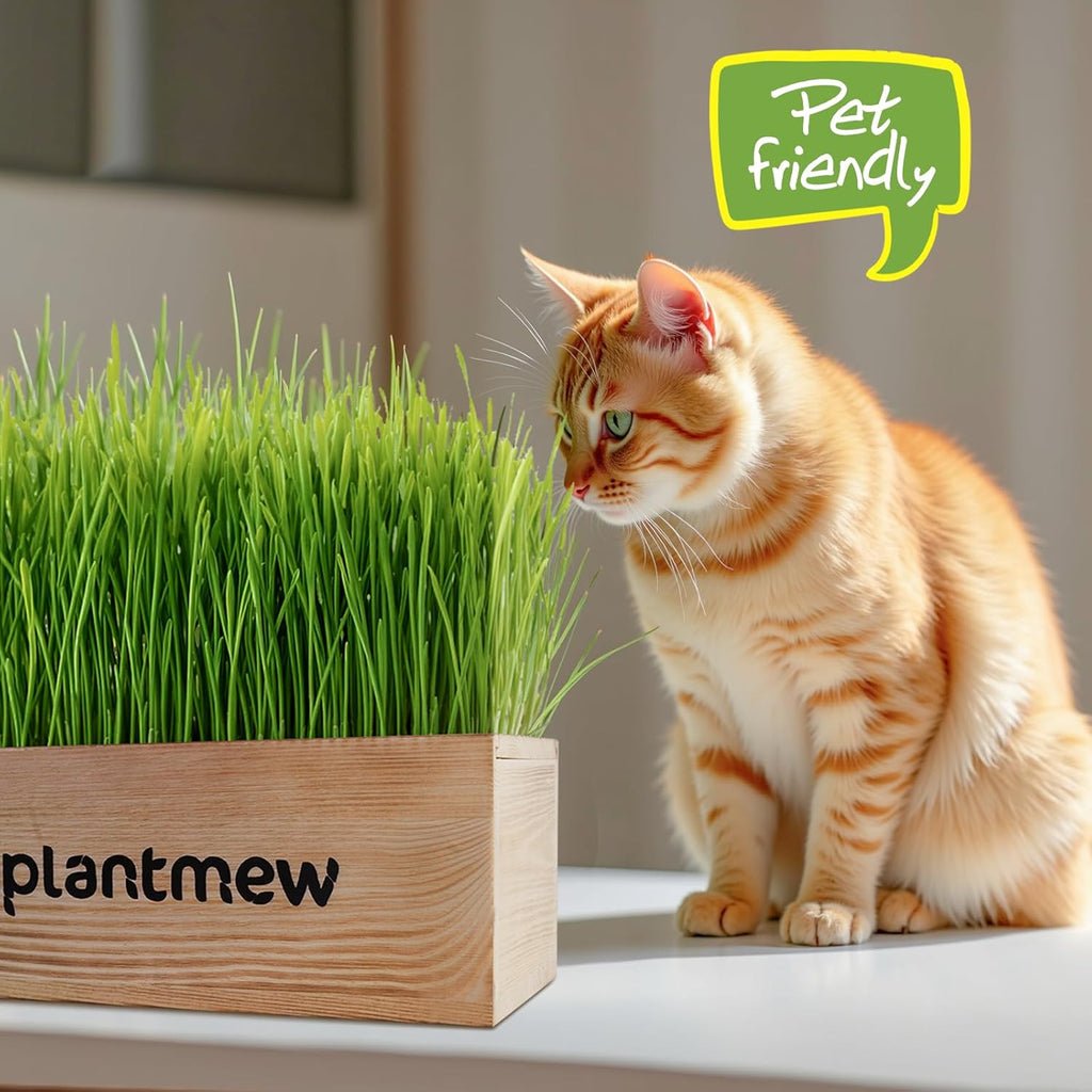 Cat Grass Kit for Indoor Cats - 3 Pack with Cat Grass Seeds, Nutrient Soil & Planter Pots | Complete Growing Set for