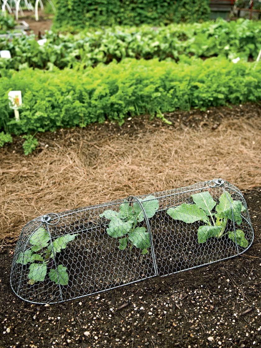 Gardener’s Supply Company Chicken Wire Cloche Garden Row Plant Protector | Sturdy Metal Protection for Seedlings and