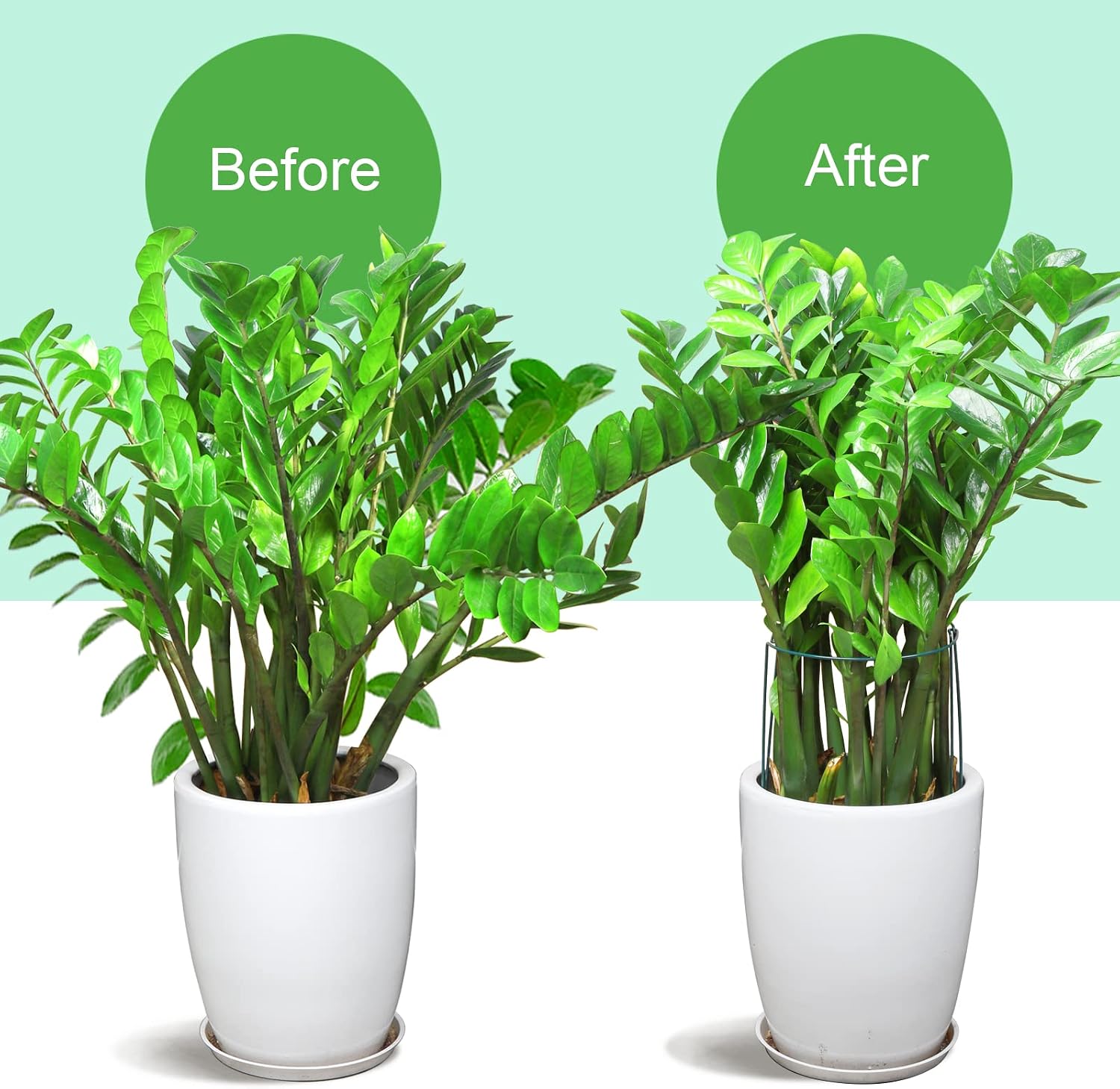 LEOBRO Plant Support Plant Stakes, 12pcs Peony Cages and Supports, Metal Garden Stakes Plant Supports, Plant Support