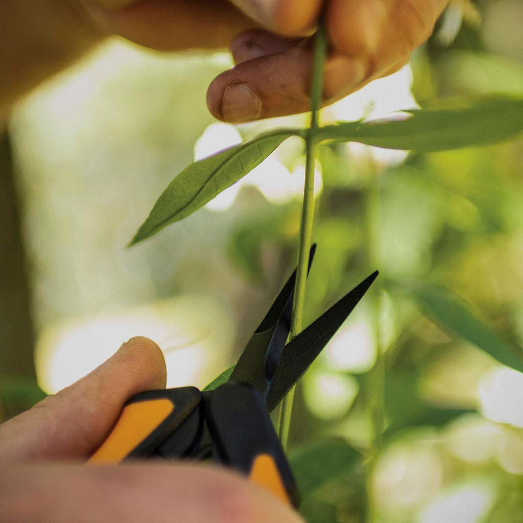Fiskars 6" Non-Stick Pruning Snips, Resin-Resistant Garden Scissors, 2-Pack | Garden Shears for Weeds, Flower Buds &
