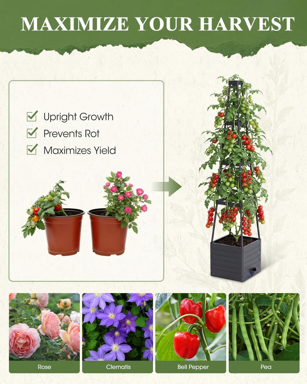 2-Pack Tomato Planter with Trellis, 57" Self-Watering Raised Garden Bed Planter Box, Tomato Cages for Indoor & Outdoor