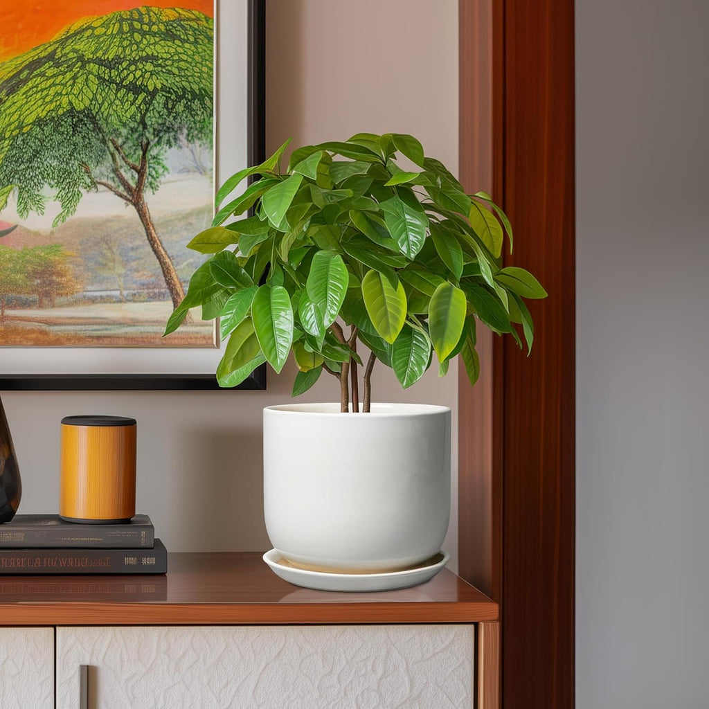 Ceramic Plant Pot - Modern 8 Inch Round Planter for Indoor Outdoor Plants with Drainage Hole and Saucer, Home House
