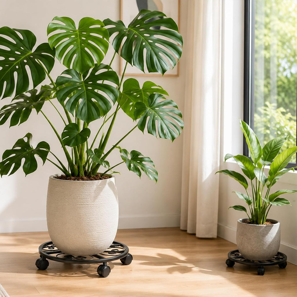 6 Pack Metal Plant Caddy with Wheels, 16 Inch Large Plant Stand with Wheels Heavy Duty Wrought Iron Rolling Plant Caddy