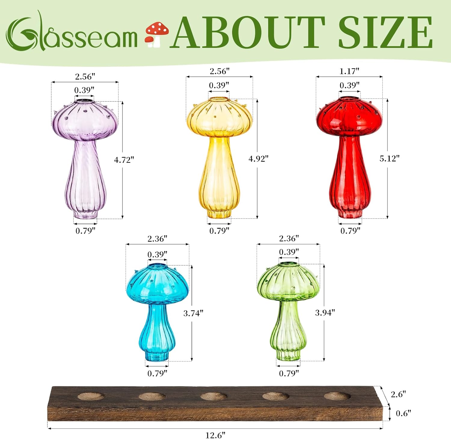 Glasseam Mushroom Propagation Station, Glass Plant Terrarium Jars with Tray | Colorful Small Hydroponic Planter, Pothos