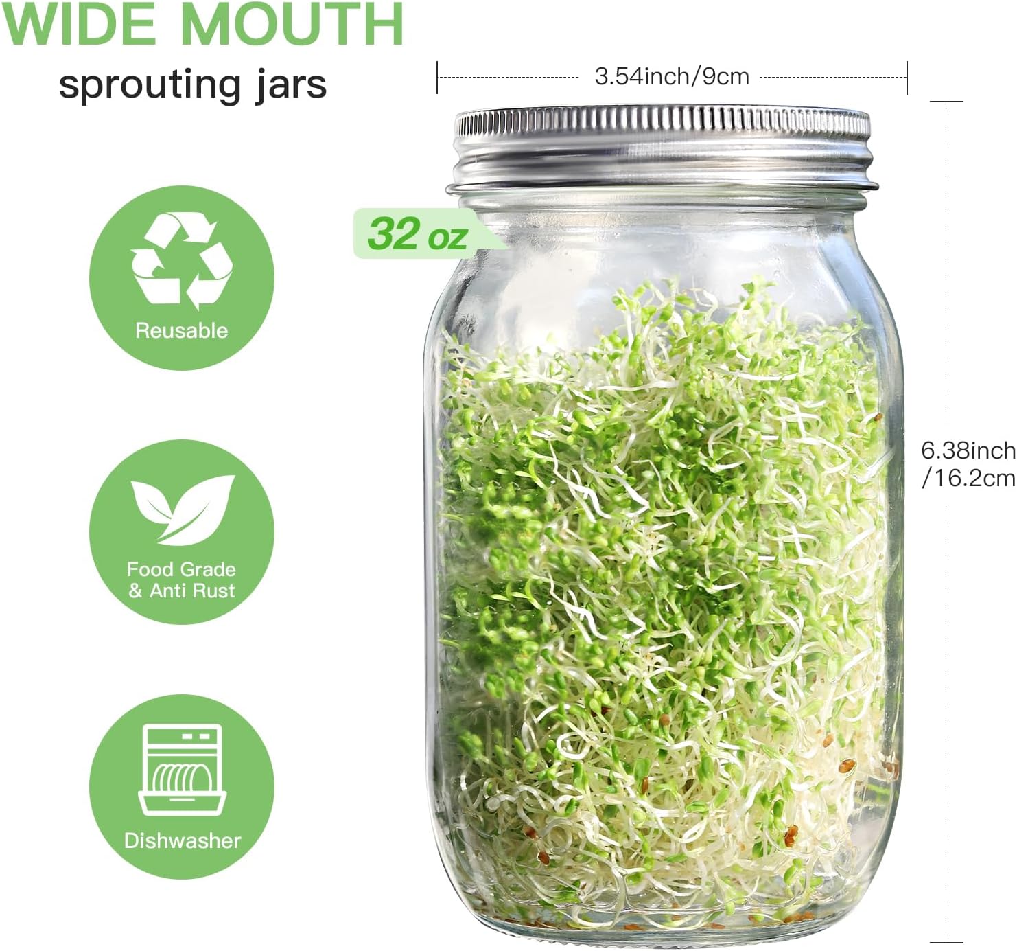 Seed Sprouting Jar Kit - 2 Wide Mouth Mason Jars with 316 Stainless Steel Sprouting Lids Covers, Drip Tray and Stand