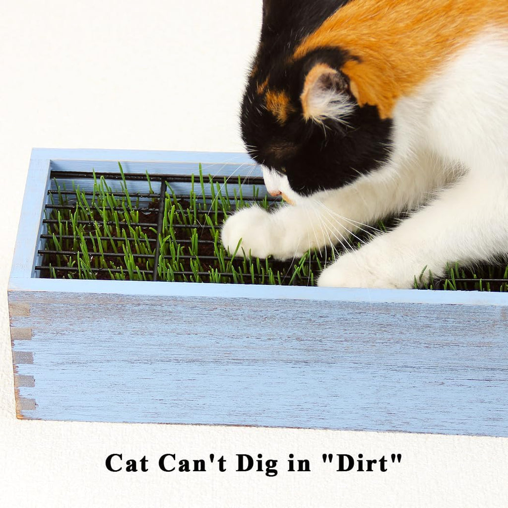 Wooden Cat Grass Planter (no Seeds Included) for Indoor Cats | Anti-Digging Design, Removable Plastic Liner, Easy to