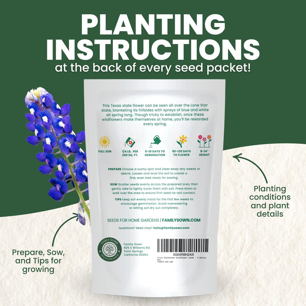 Texas Bluebonnet – 3,000 Seeds for Planting – 2026 Season – 4 Ounce Pouch