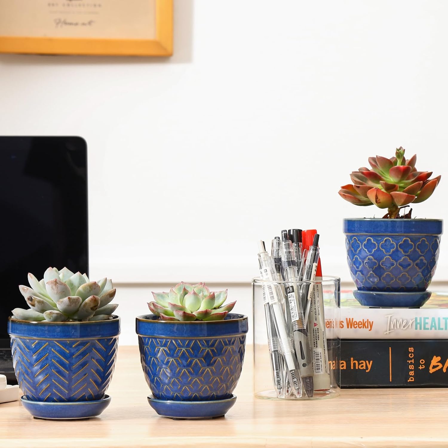 Sureasy Succulent Pots, 3.5 Inch Flower Pots for Indoor Plants, Small Plant Pots with Saucer & Drainage, Decorative