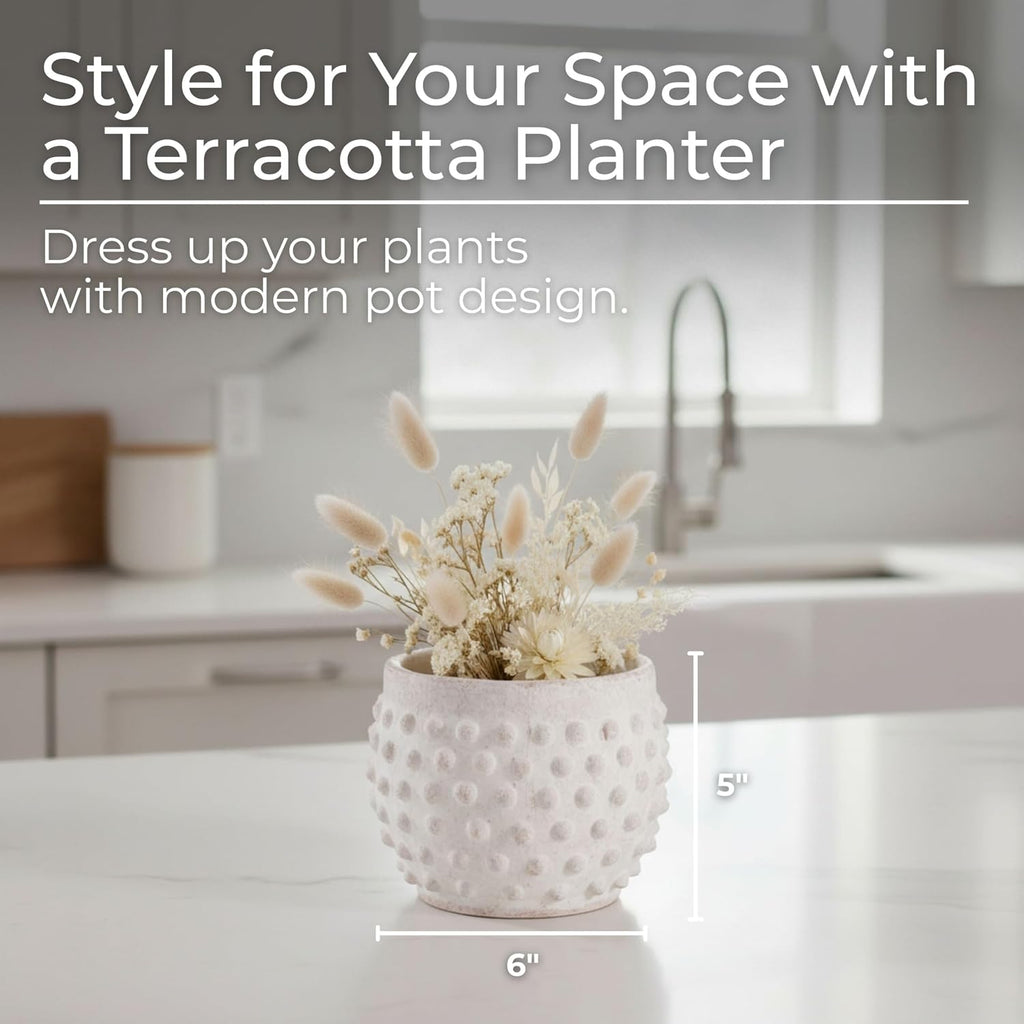 Garden Pottery Flower Pot with Bubble Texture – Decorative Round Terracota Planter for Indoor and Outdoor Plants –