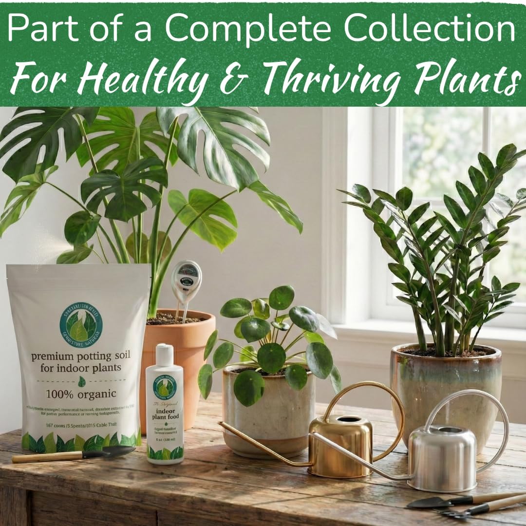 Stainless Steel Houseplant Watering Can, Brushed Gold, 1L Capacity