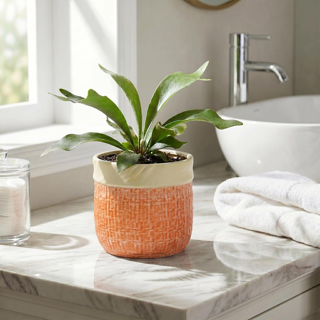 Ceramic Pots for Plants, 6 Inch Planter, Round Plant Pot, Orange | Boho Plant Pot for Indoor Plants, Decorative Flower